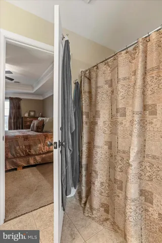 a living room with a couch and a shower curtain