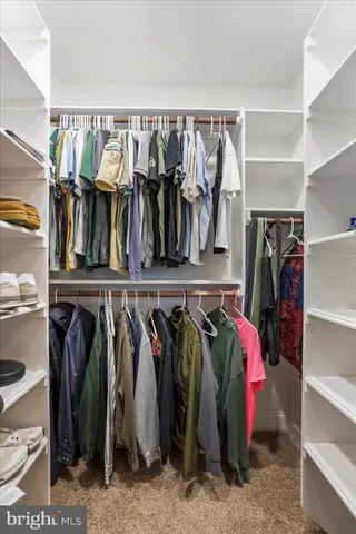 a view of walk in closet with clothes and shoes
