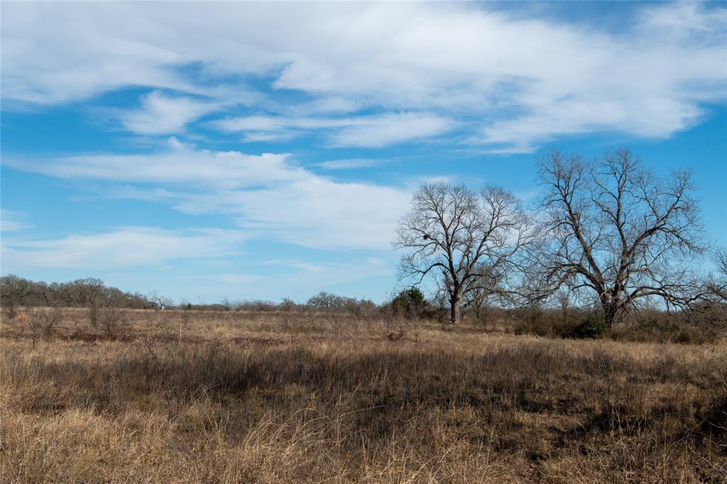 0 Highway 14 Groesbeck, TX 76642 - Photo 11 of 13 a view of mountain view with lots of trees