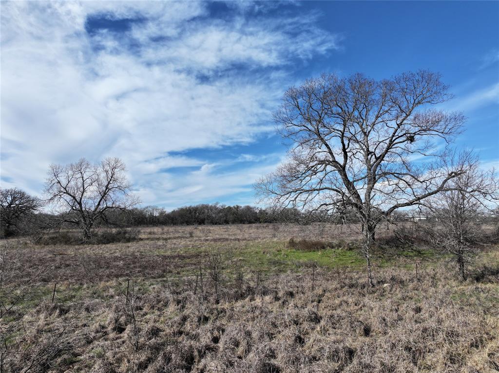 0 Highway 14 Groesbeck, TX 76642 - Photo 9 of 13 a view of a field with trees in back