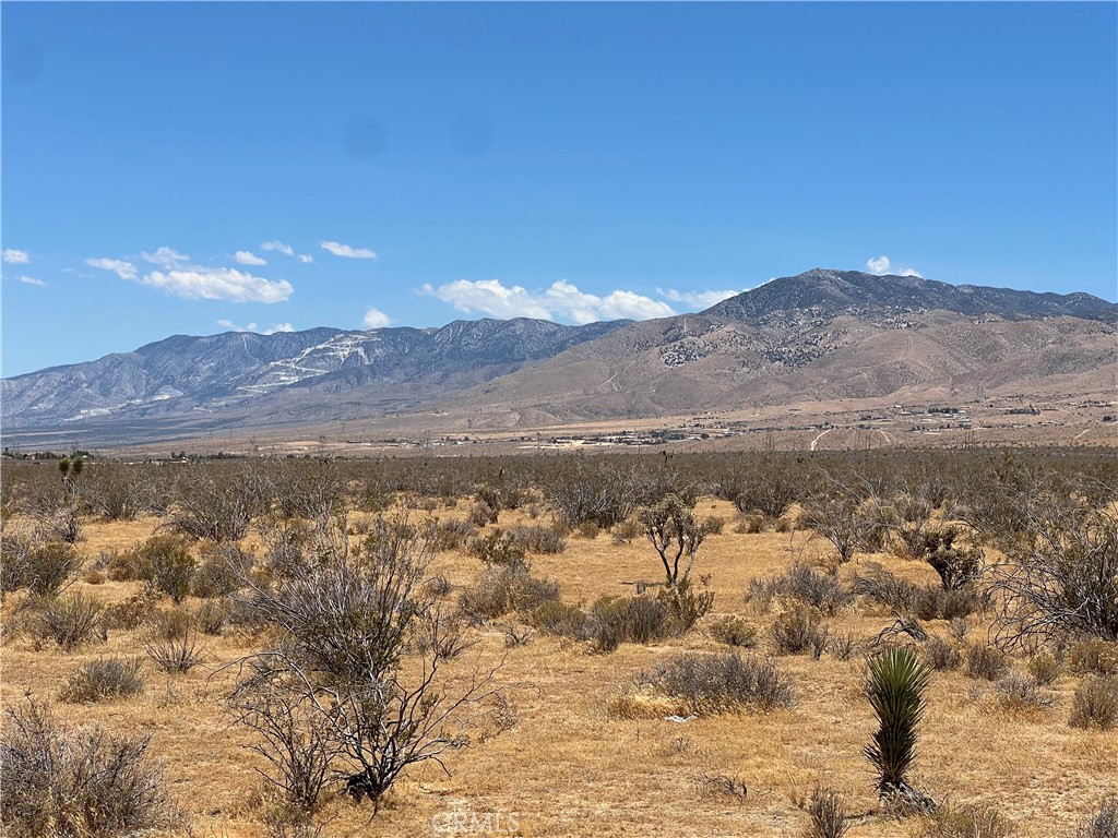 21771 1/2 Del Oro Road Apple Valley, CA 92308 - Photo 4 of 9
