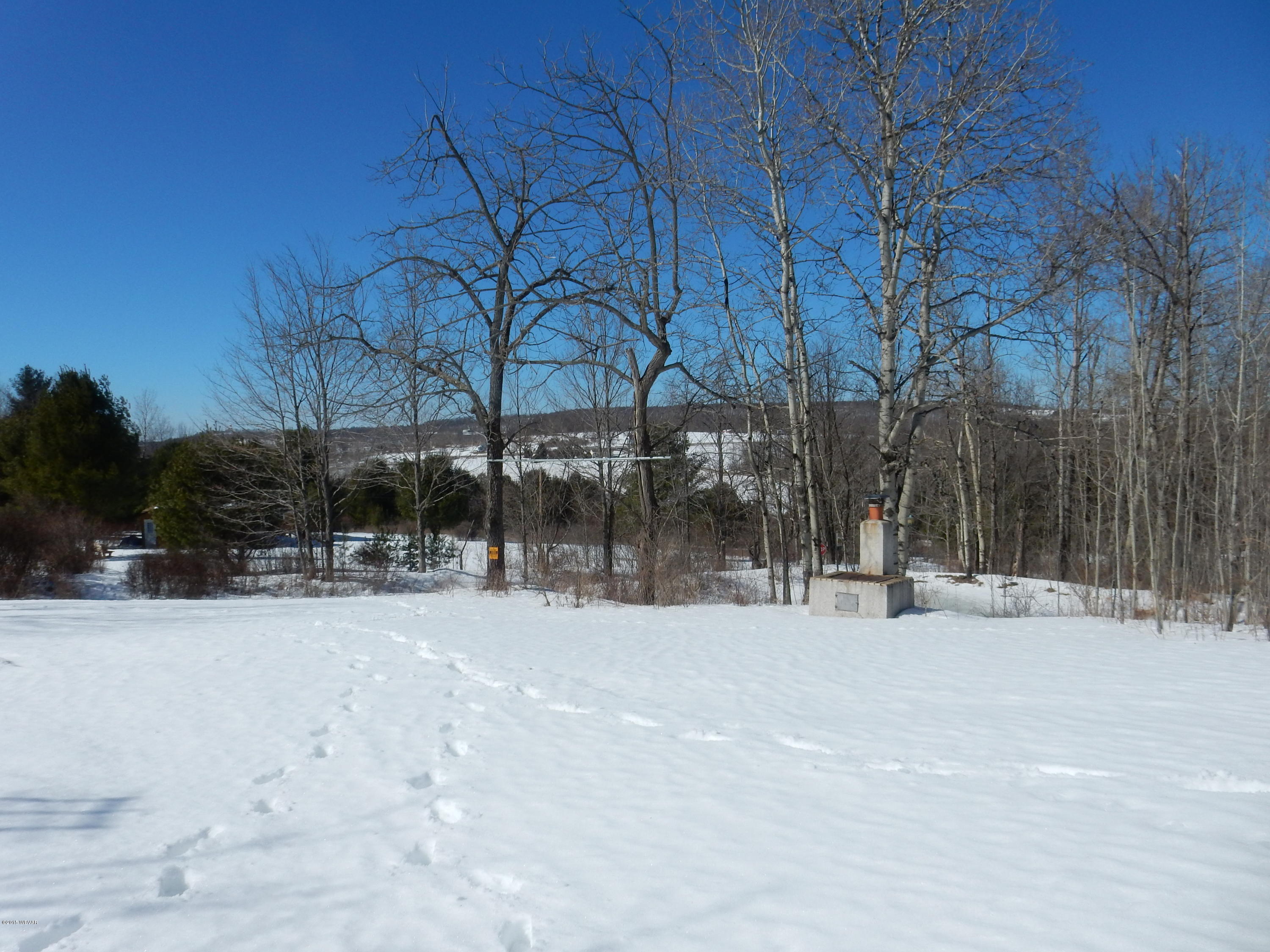 3052 Whiskey Run Road Muncy Valley, PA 17758 - Photo 20 of 22 view from yard.JPG