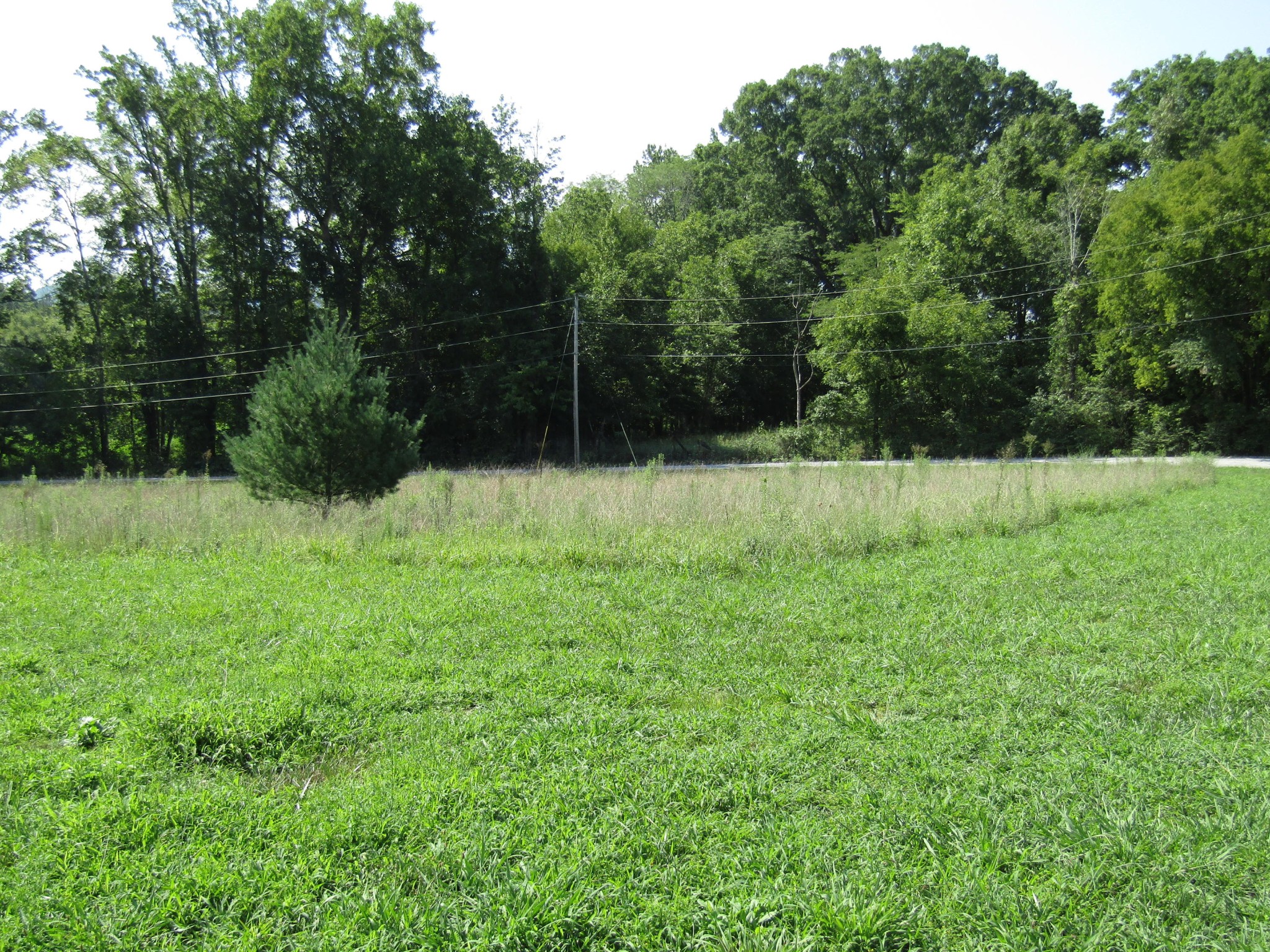 413 Busted Rock Road Old Fort, TN 37362 - Photo 1 of 3 Gallery Image 1