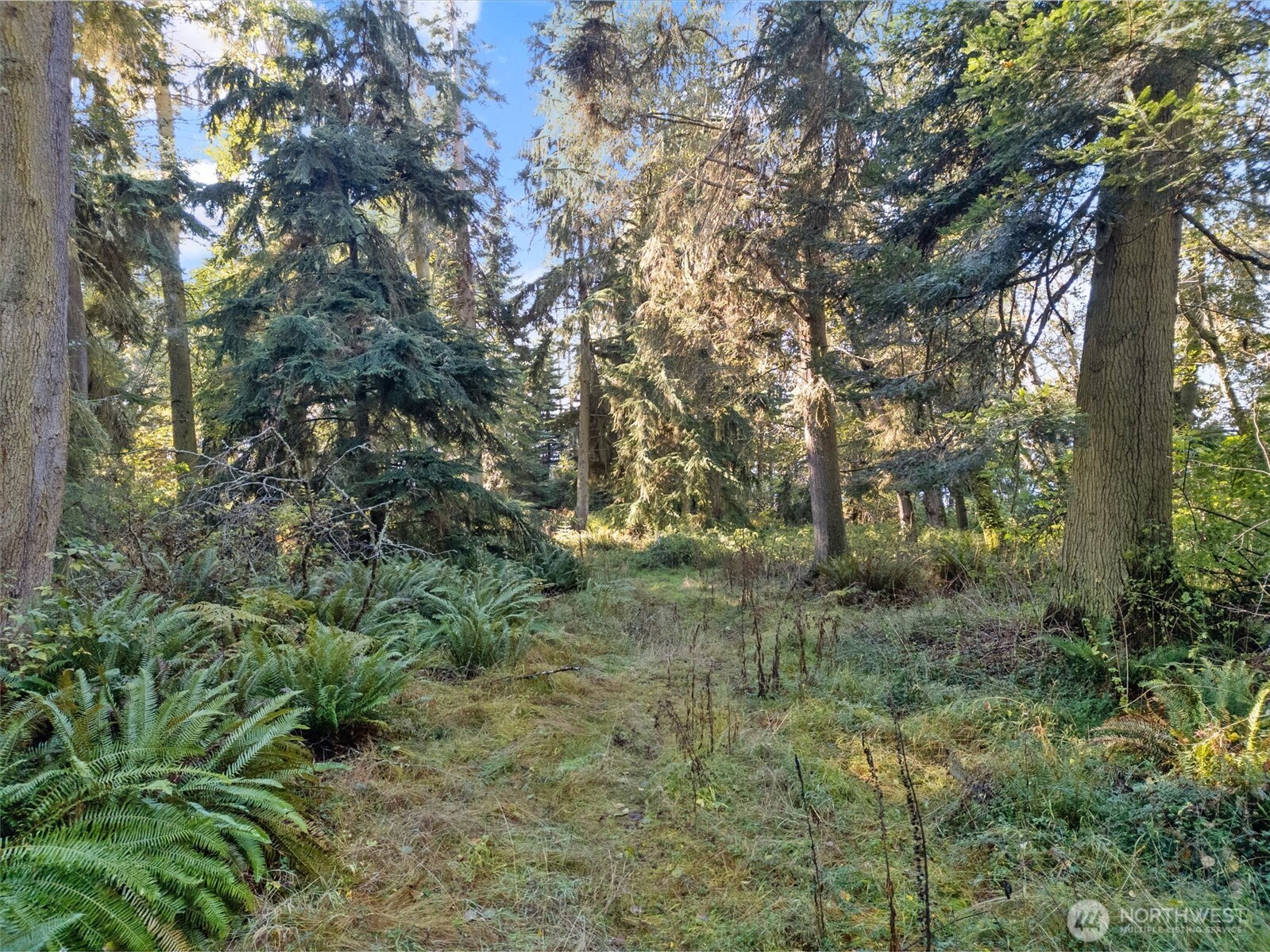4530 South Smugglers Cove Road Freeland, WA 98249 - Photo 17 of 17 Gallery Image 17