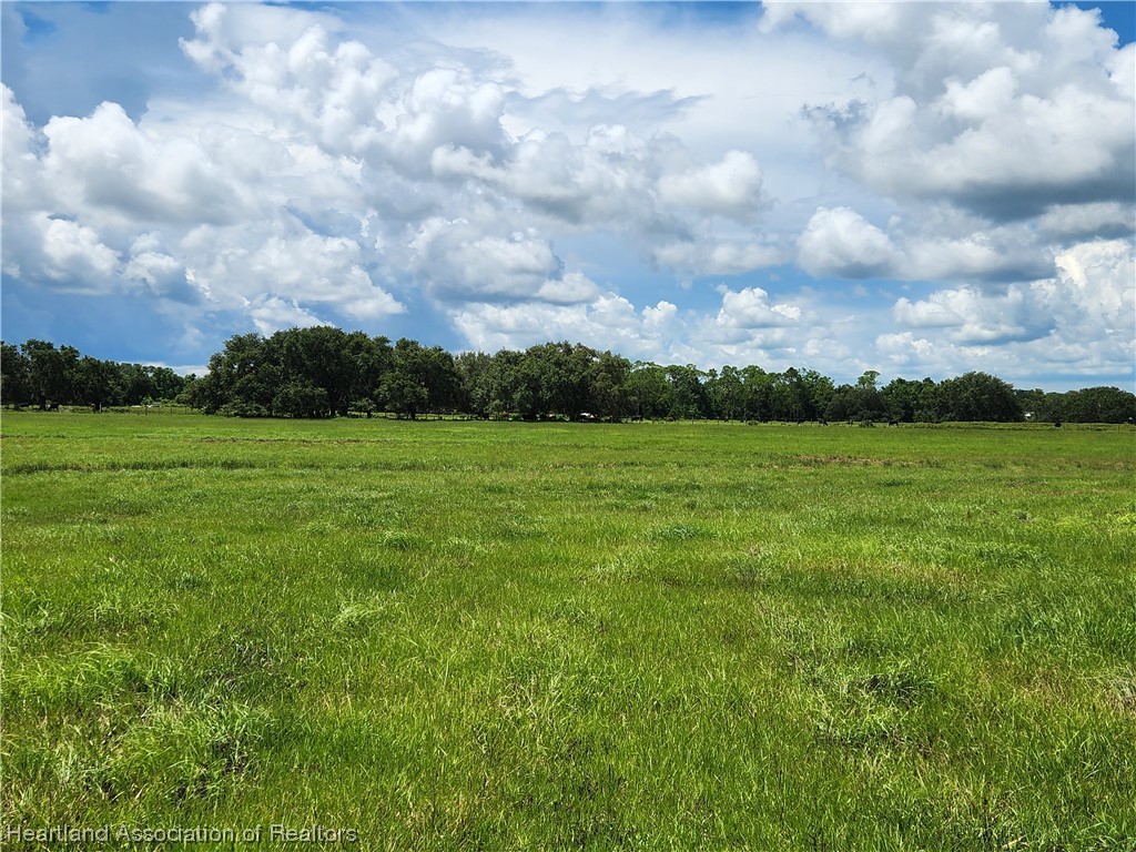 1005 Cattle Road Venus, FL 33960 - Photo 1 of 8 Gallery Image 1