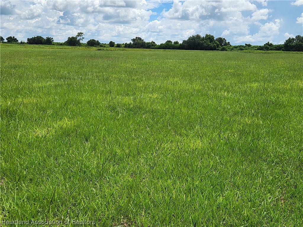 1005 Cattle Road Venus, FL 33960 - Photo 2 of 8 Gallery Image 2