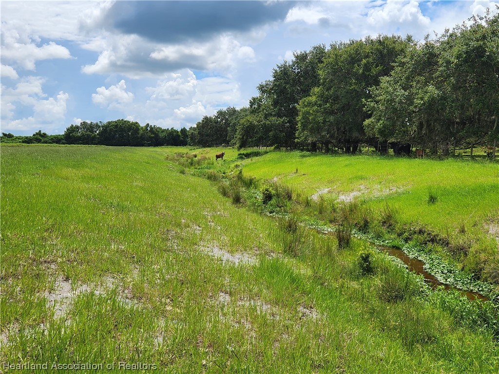 1005 Cattle Road Venus, FL 33960 - Photo 3 of 8 Gallery Image 3