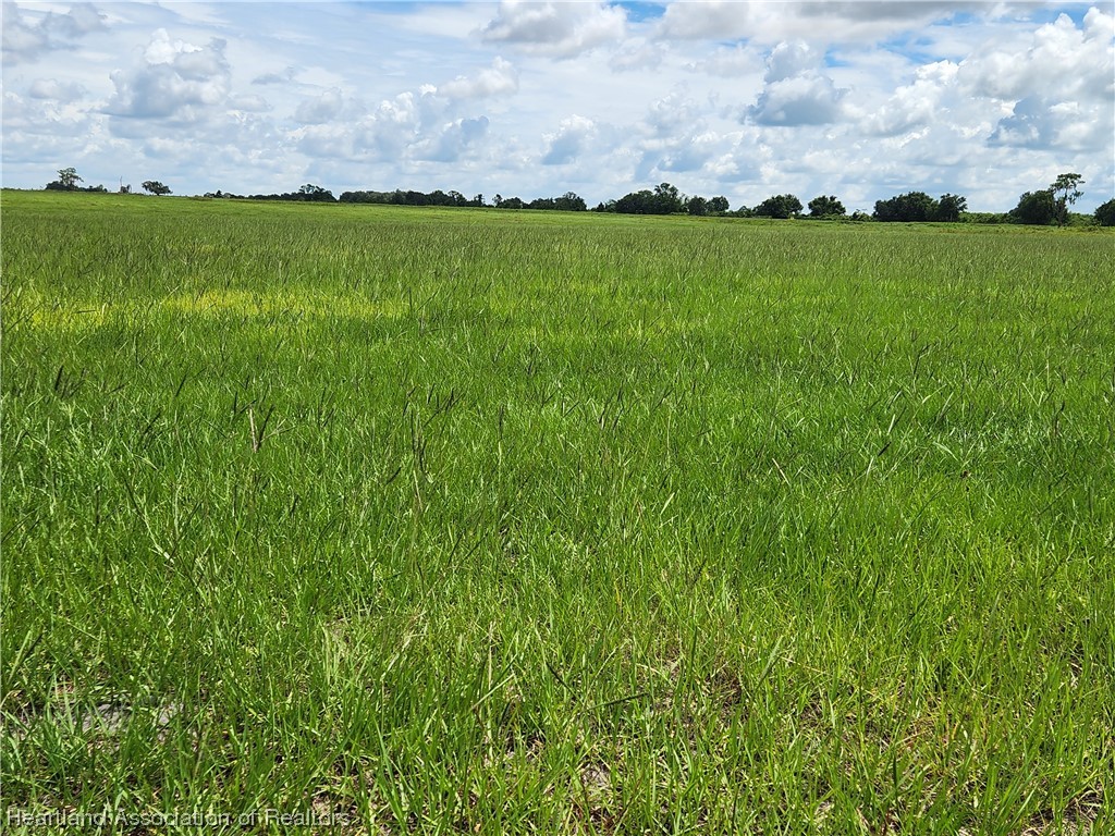 1005 Cattle Road Venus, FL 33960 - Photo 4 of 8 Gallery Image 4