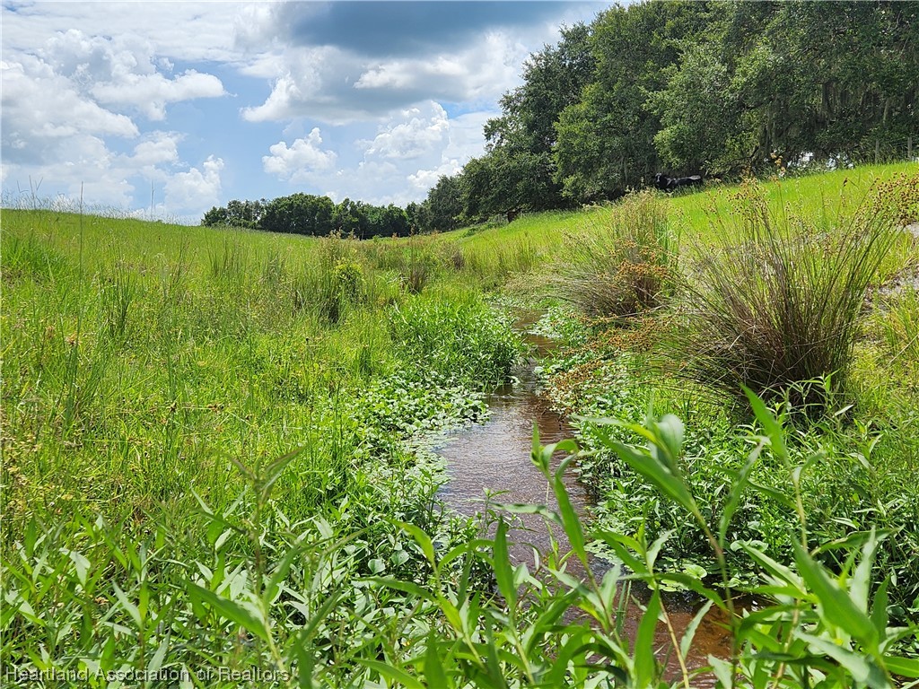 1005 Cattle Road Venus, FL 33960 - Photo 5 of 8 Gallery Image 5