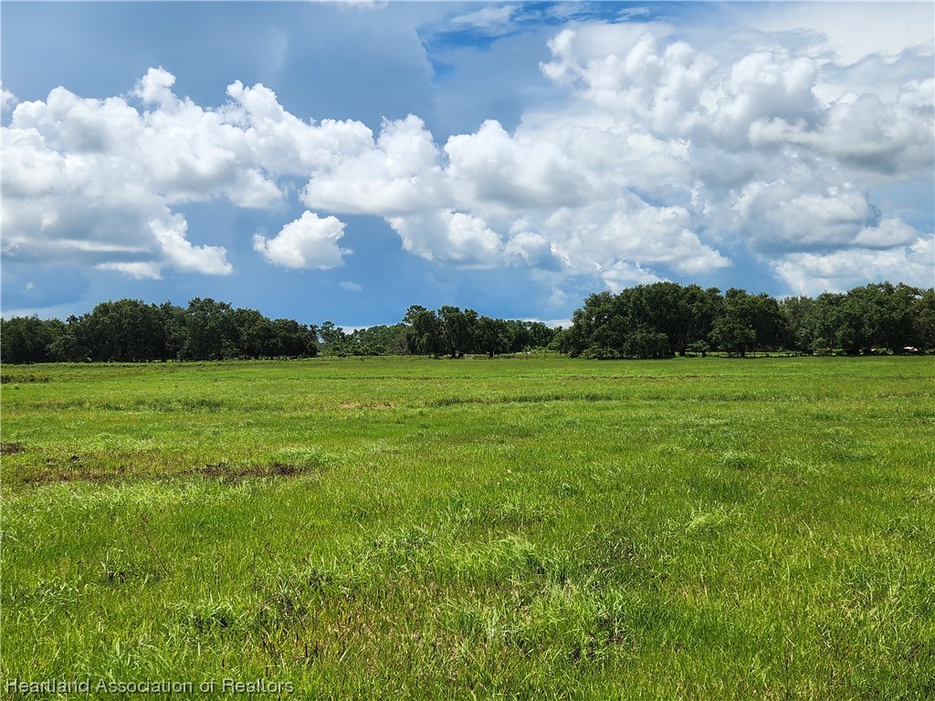 1005 Cattle Road Venus, FL 33960 - Photo 8 of 8 Gallery Image 8
