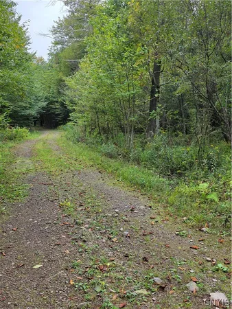 $49,000 | Woodland Drive, Altmar, NY 13302