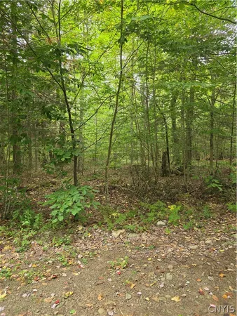 $49,000 | Woodland Drive, Altmar, NY 13302