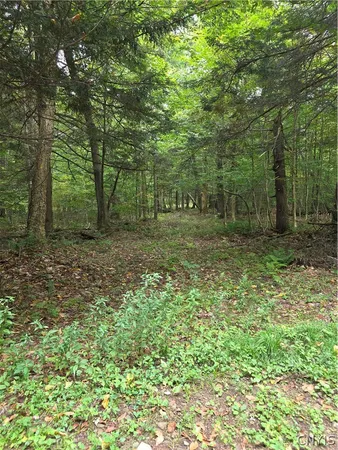 $49,000 | Woodland Drive, Altmar, NY 13302