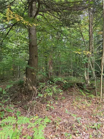 $49,000 | Woodland Drive, Altmar, NY 13302