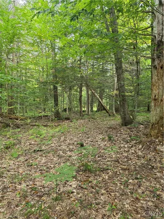 $49,000 | Woodland Drive, Altmar, NY 13302