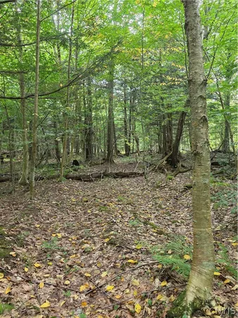 $49,000 | Woodland Drive, Altmar, NY 13302