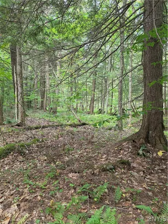 $49,000 | Woodland Drive, Altmar, NY 13302