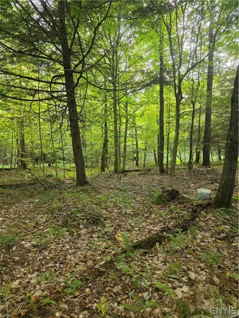 $49,000 | Woodland Drive, Altmar, NY 13302