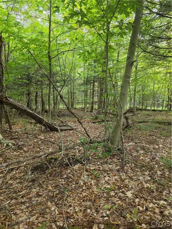 $49,000 | Woodland Drive, Altmar, NY 13302