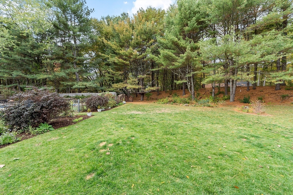 9 Butternut Road Westford, MA 01886 - Photo 35 of 42