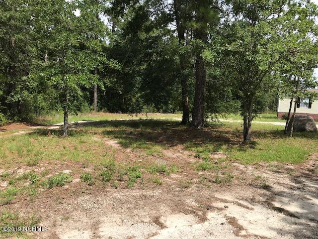 3175 Blue Banks Loop Road Northeast Leland, NC 28451 - Photo 20 of 20 IMG_3555 (002)