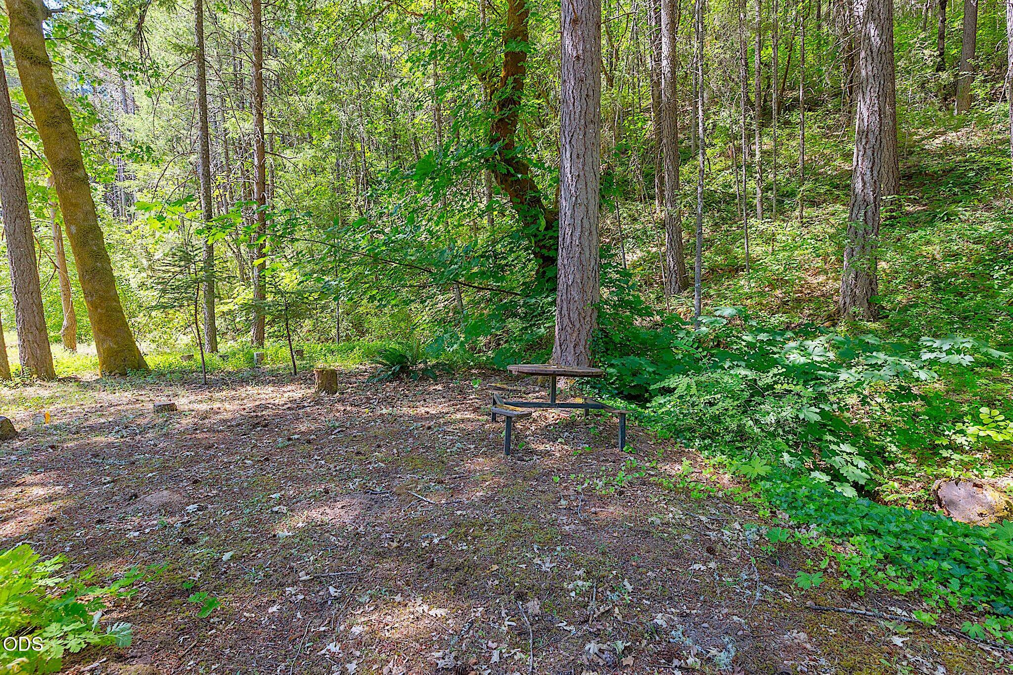 484 Round Prairie Road Wilderville, OR 97543 - Photo 49 of 77
