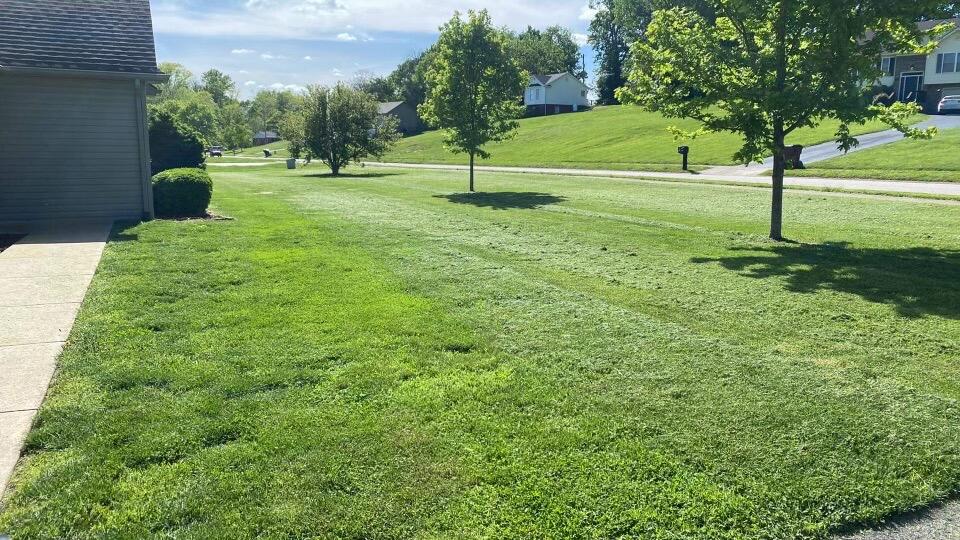 308 Ridgeview Drive Berea, KY 40403 - Photo 5 of 33 4162AA32-707E-46F7-A373-9D68B326C44D