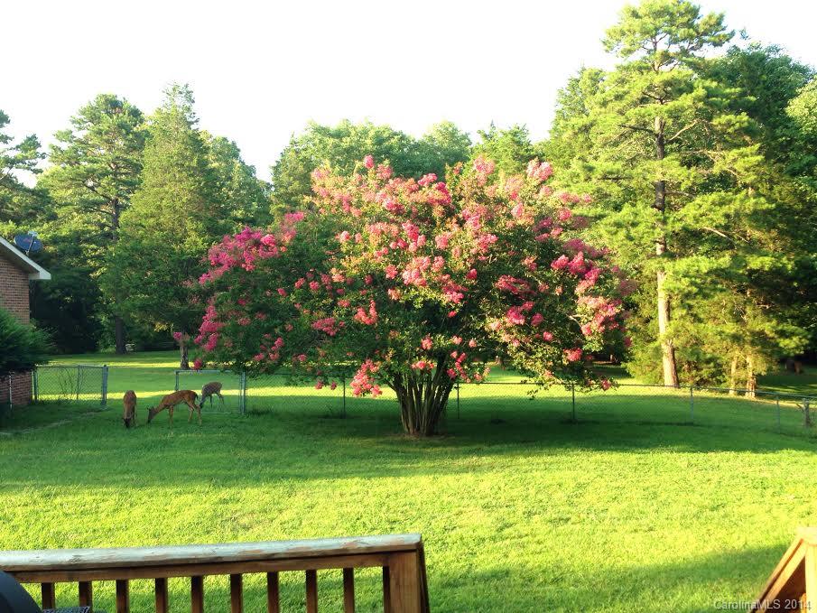 3410 Goodplace Road Rock Hill, SC 29732 - Photo 22 of 24 Gallery Image 22
