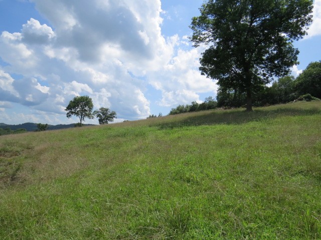 0 Shaw Road Cornersville, TN 37047 - Photo 11 of 33