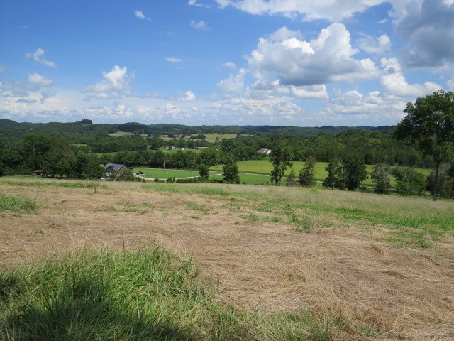 0 Shaw Road Cornersville, TN 37047 - Photo 13 of 33