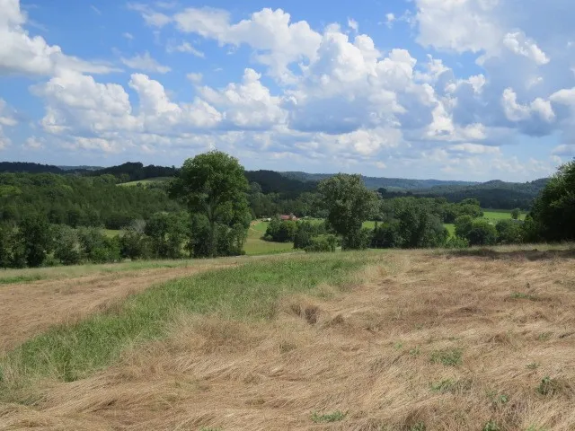 $219,900 | 0 Shaw Road, Cornersville, TN 37047