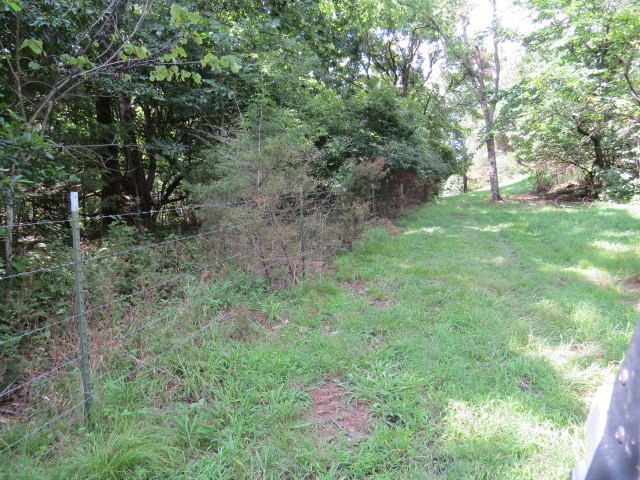 0 Shaw Road Cornersville, TN 37047 - Photo 17 of 33