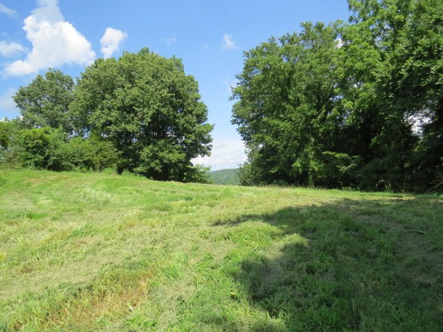 0 Shaw Road Cornersville, TN 37047 - Photo 18 of 33