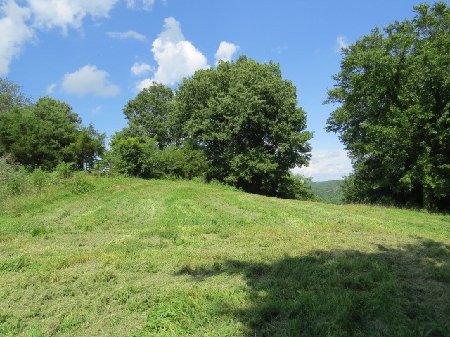 0 Shaw Road Cornersville, TN 37047 - Photo 19 of 33