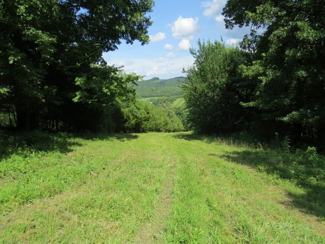 0 Shaw Road Cornersville, TN 37047 - Photo 20 of 33