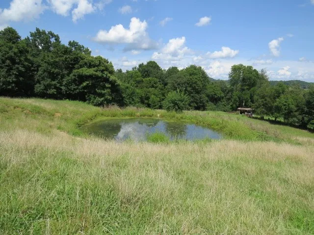 $219,900 | 0 Shaw Road, Cornersville, TN 37047