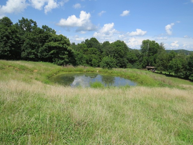 0 Shaw Road Cornersville, TN 37047 - Photo 2 of 33