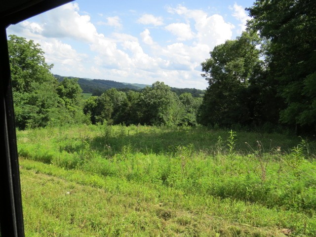 0 Shaw Road Cornersville, TN 37047 - Photo 21 of 33