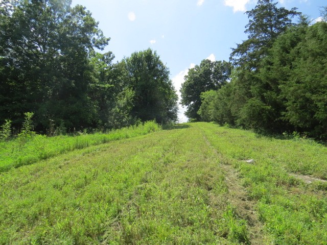 0 Shaw Road Cornersville, TN 37047 - Photo 23 of 33
