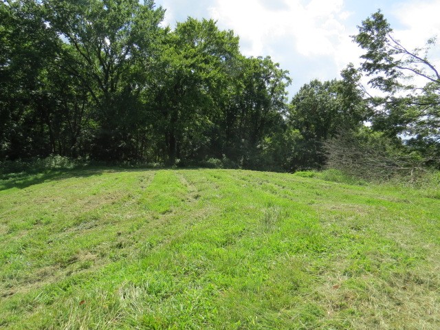 0 Shaw Road Cornersville, TN 37047 - Photo 24 of 33