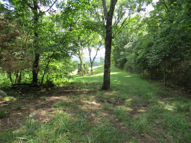 0 Shaw Road Cornersville, TN 37047 - Photo 25 of 33