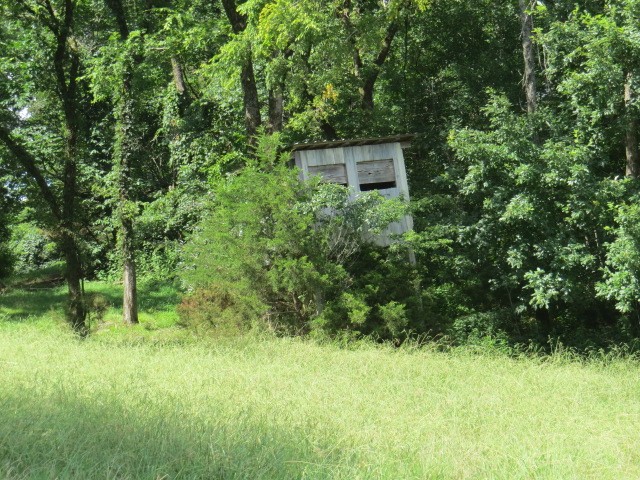 0 Shaw Road Cornersville, TN 37047 - Photo 26 of 33