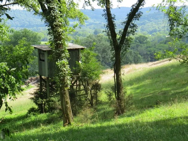 $219,900 | 0 Shaw Road, Cornersville, TN 37047