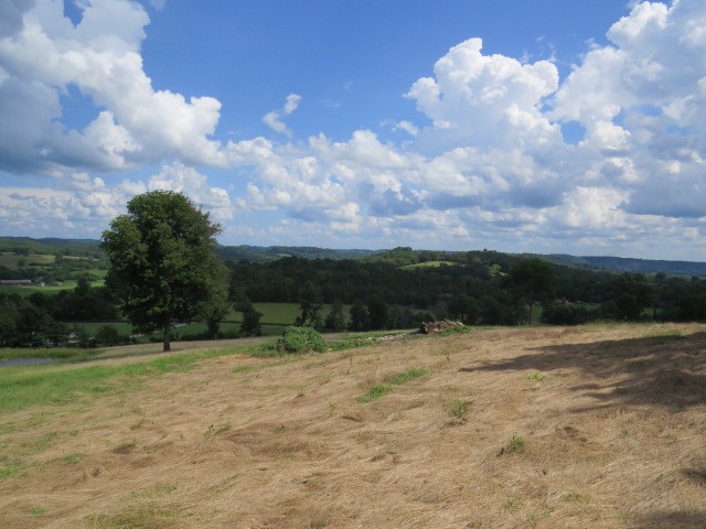 0 Shaw Road Cornersville, TN 37047 - Photo 28 of 33