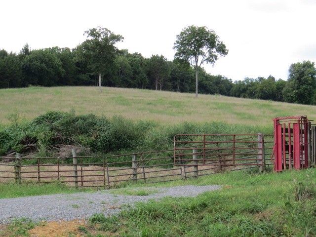 0 Shaw Road Cornersville, TN 37047 - Photo 29 of 33