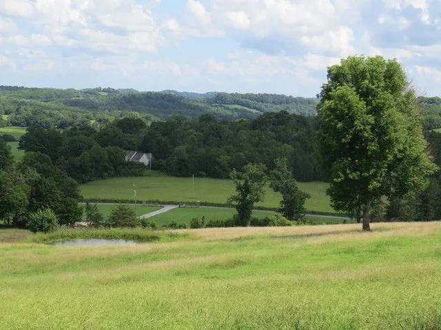 $219,900 | 0 Shaw Road, Cornersville, TN 37047