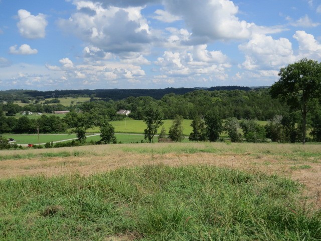 0 Shaw Road Cornersville, TN 37047 - Photo 4 of 33