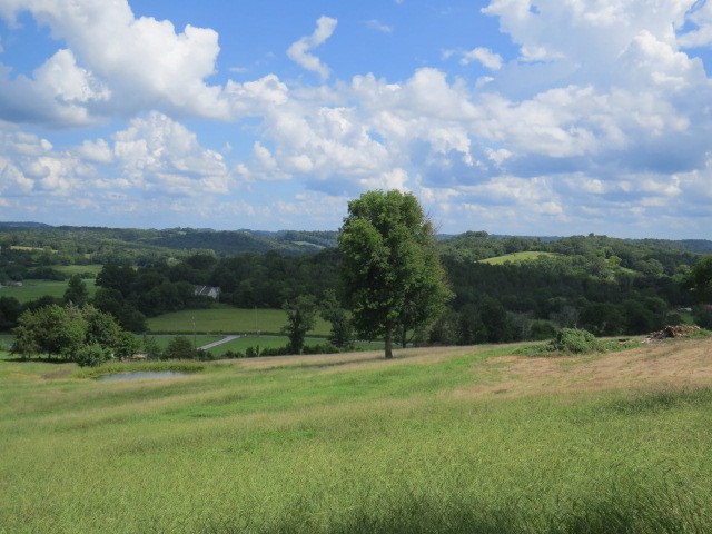 0 Shaw Road Cornersville, TN 37047 - Photo 5 of 33