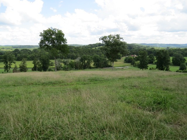 0 Shaw Road Cornersville, TN 37047 - Photo 7 of 33