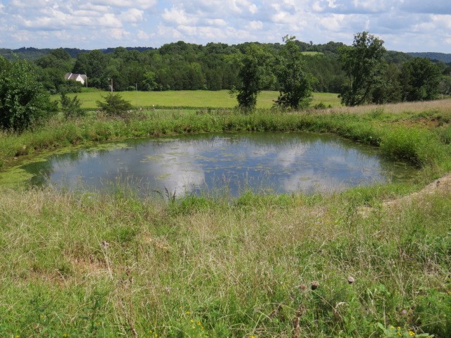 0 Shaw Road Cornersville, TN 37047 - Photo 8 of 33